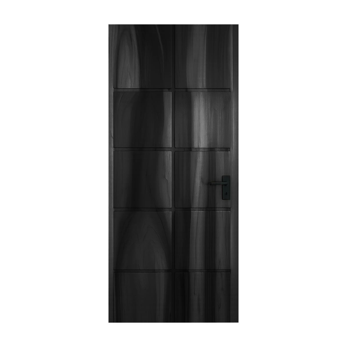 Modern Panel Door Design For Living Room And Hallway