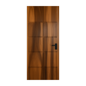 Modern Panel Door Design For Living Room And Hallway