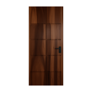 Modern Panel Door Design For Living Room And Hallway