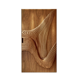 Modern Carved Sliding Door For Bathroom And Entrance