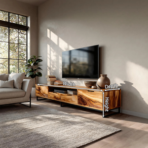 Modern TV Stand With Functional Storage For Living
