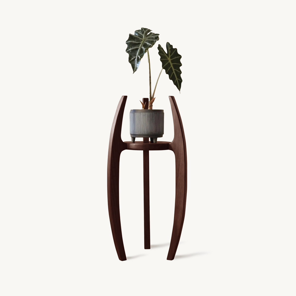 Modern Indoor Plant Stand For Flower Pot Display