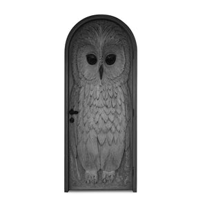 Whimsical Owl Carved Entry Door For Home Garden
