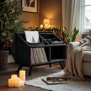 Modern Record Stand For Living Room Vinyl Storage Christmas