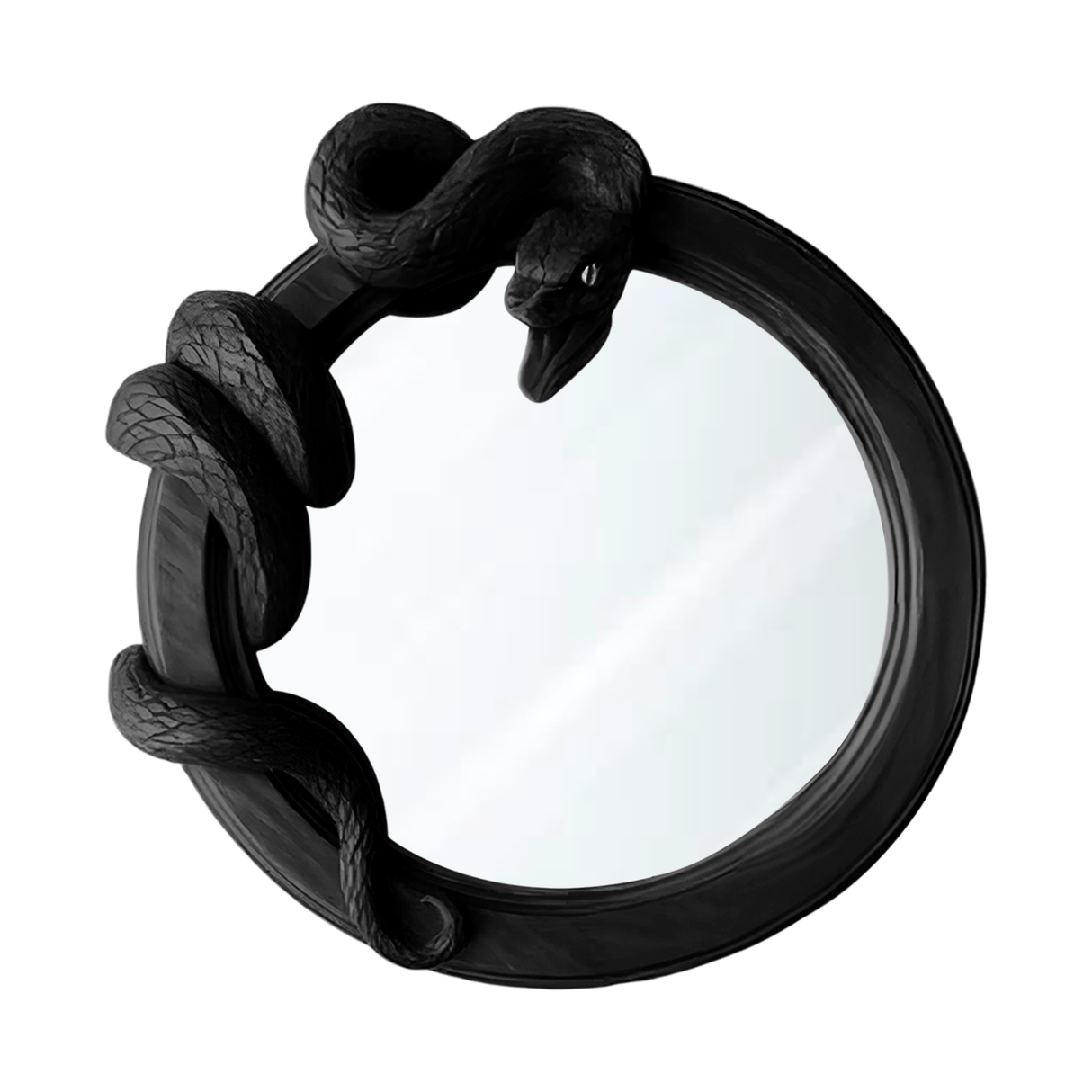 Wild Serpent Carved Mirror For Jungle Themed Bathroom
