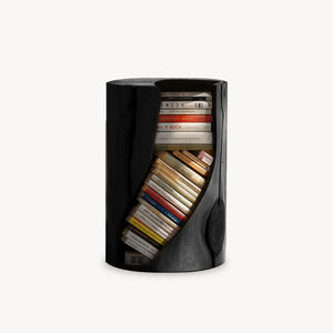 Modern Organic Bookcase With Accent Design For Living Room