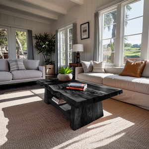 Modern Low Coffee Table With Storage Space For Home