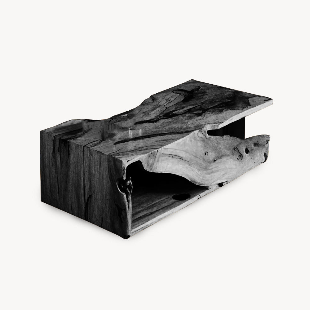 Modern Organic Live Edge Coffee Table For Living Room
