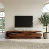 Modern Organic TV Console For Living Room Interior