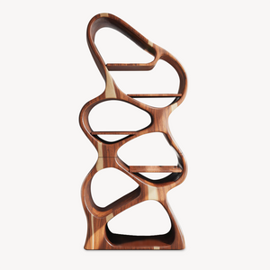 Modern Sculptural Bookshelf With Flowing Shelves For Home Library And Living Room