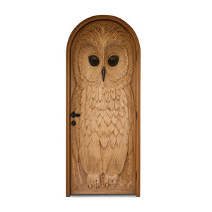 Whimsical Owl Carved Entry Door For Home Garden