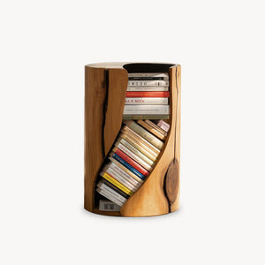 Modern Organic Bookcase With Accent Design For Living Room