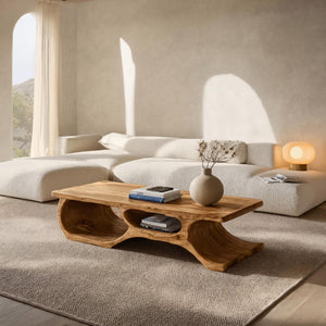 Organic Coffee Table Open Shelf Design For Living Room