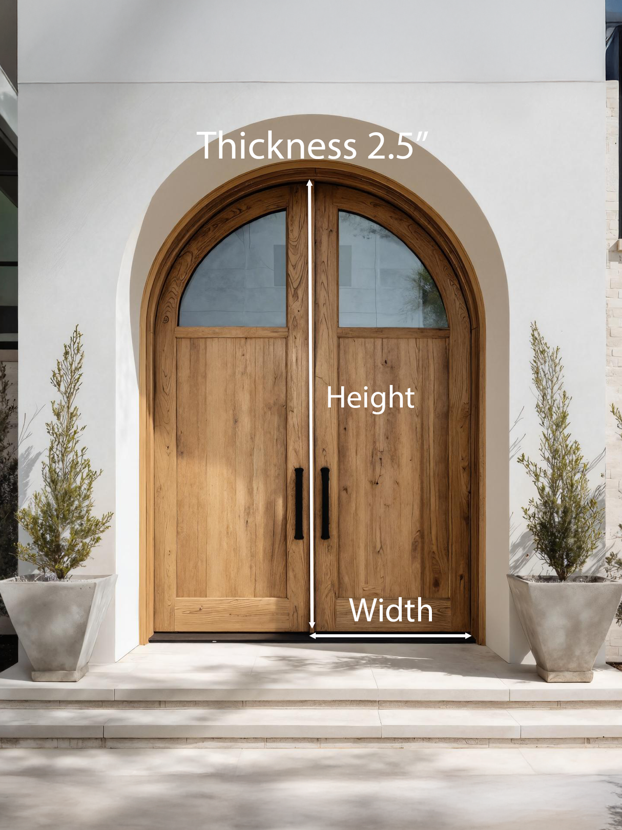 Modern Arched Double Front Door With Glass Panels For Entryway
