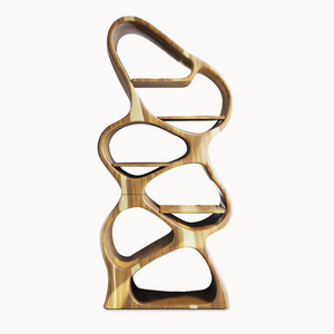 Modern Sculptural Bookshelf With Flowing Shelves For Home Library And Living Room