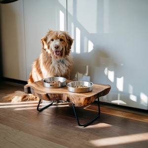 Handcrafted Wooden Dog Bowl Feeder For Pet Owners