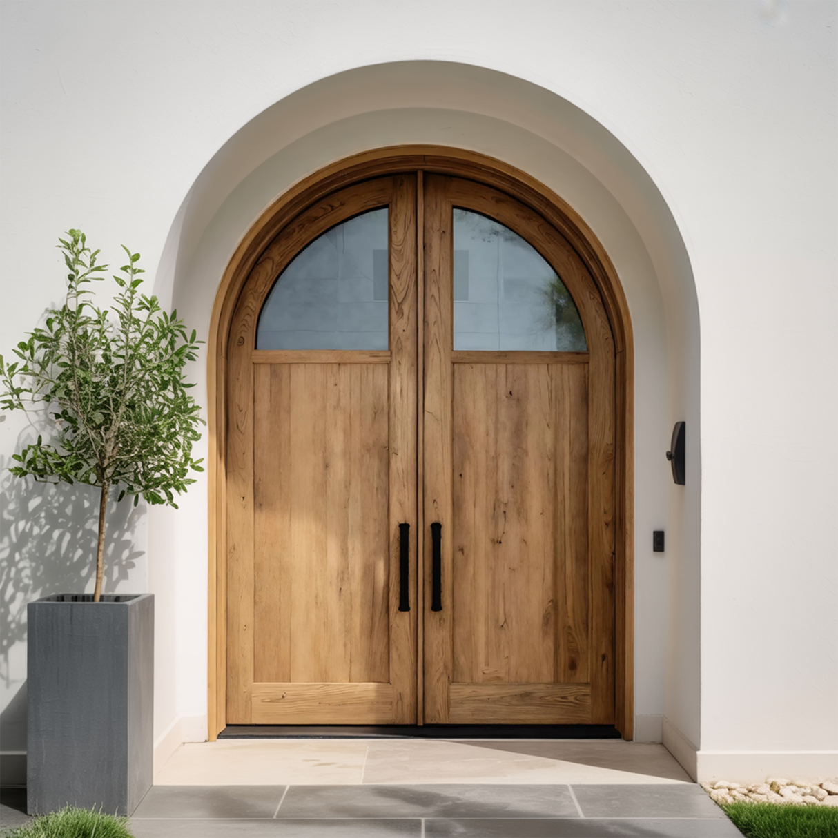 Modern Arched Double Front Door With Glass Panels For Entryway