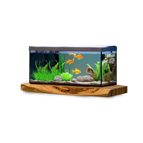 Cozy Living Room Rustic Floating Shelf For Aquarium