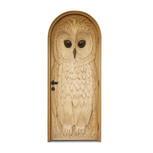 Whimsical Owl Carved Entry Door For Home Garden
