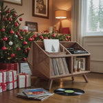 Modern Record Stand For Living Room Vinyl Storage Christmas