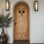 Whimsical Owl Carved Entry Door For Home Garden