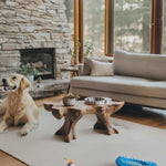 Farmhouse Raised Dog Bowl Holder For Easy Feeding