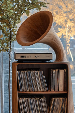Mid Century Record Console Table For Livingroom