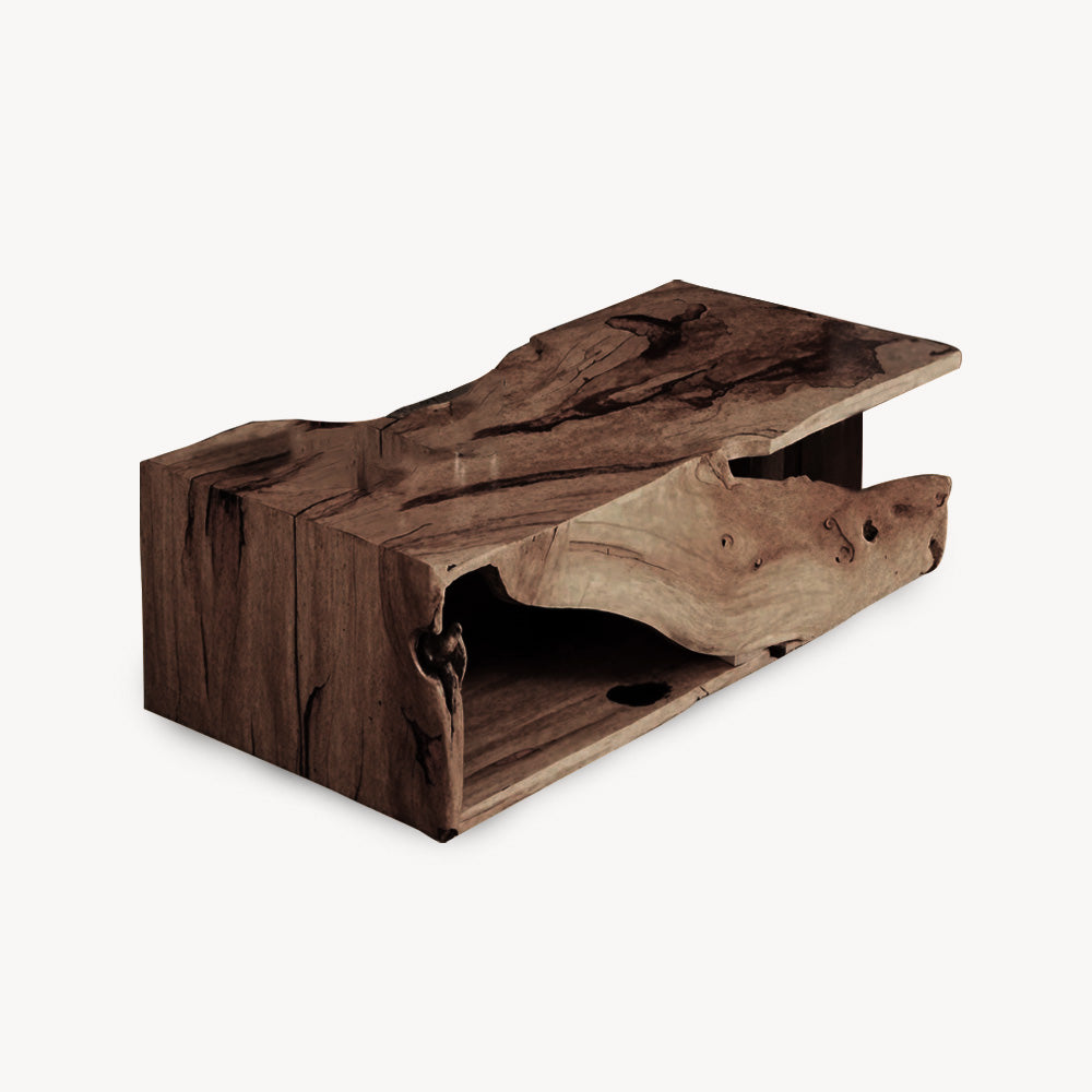 Modern Organic Live Edge Coffee Table For Living Room