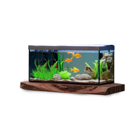 Cozy Living Room Rustic Floating Shelf For Aquarium