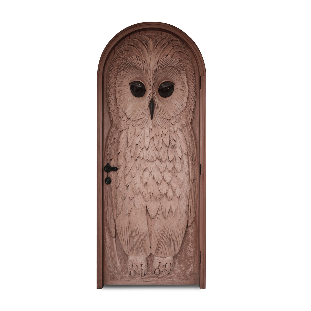Whimsical Owl Carved Entry Door For Home Garden
