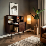 Mid-Century Vinyl Record Cabinet For Home Decor